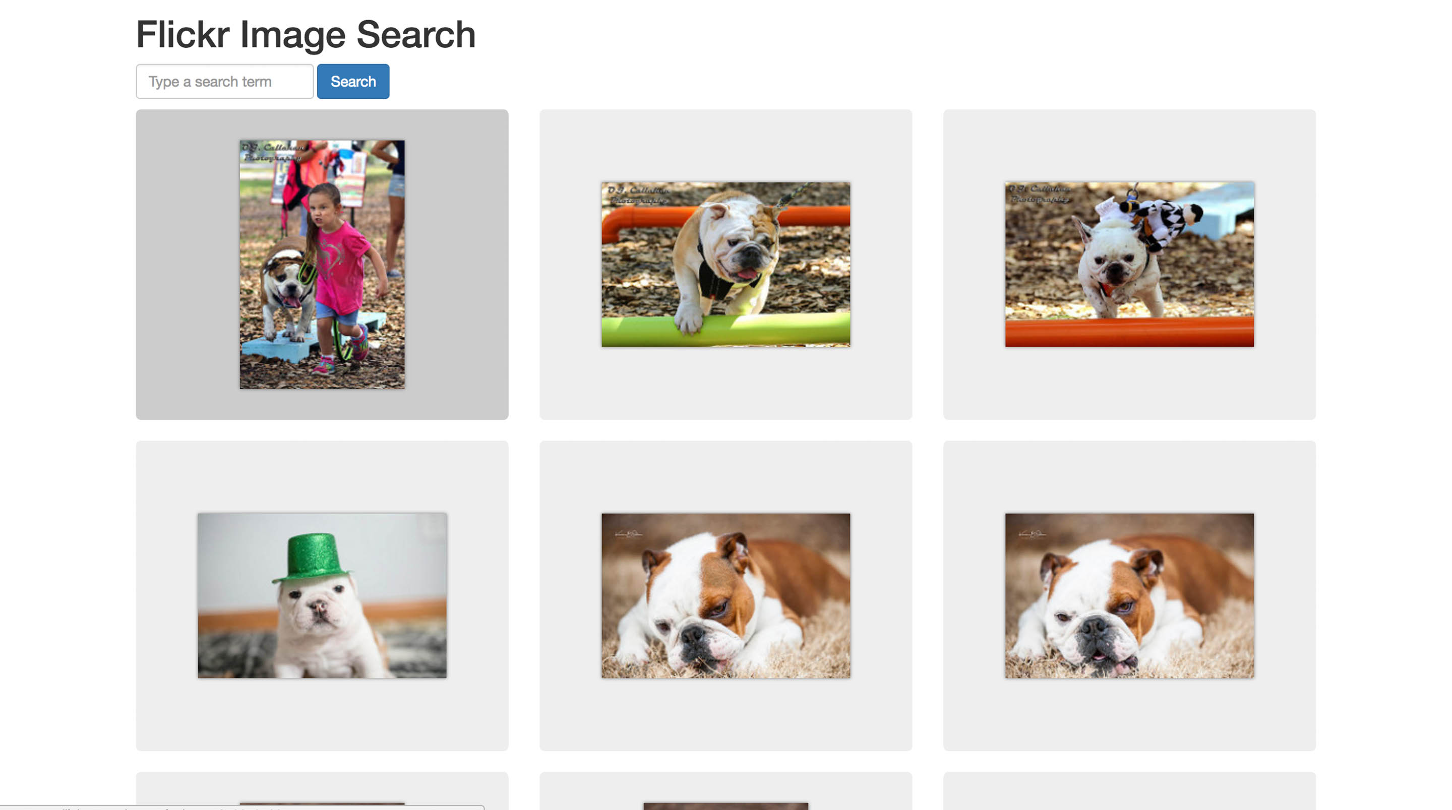 Flickr Image Search App